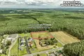 Parcelas 6 064 m² Barloznia Wolsztynska, Polonia