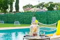 4 bedroom Villa 243 m² Grad Rovinj, Croatia
