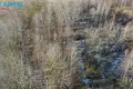 Działki  Stebuliai, Litwa