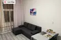 1 bedroom apartment 32 m² Capital City of Prague, Czech Republic