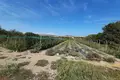 Квартира  Бяла, Болгария