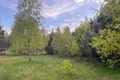 House 18 973 m² Przylek, Poland