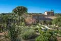 Propiedad comercial 782 m² en Seggiano, Italia