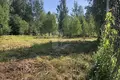 Działki  Bialarucki sielski Saviet, Białoruś