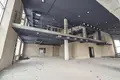 Büro 10 zimmer 100 m² in Zdanovicki sielski Saviet, Belarus