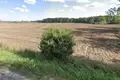 Grundstück 841 m² Mlodasko, Polen