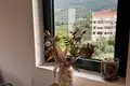 Wohnung 29 m² Boreti, Montenegro