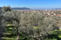 Вилла  Старый Бар, Черногория