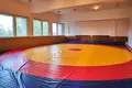 Commercial property 3 500 m² in Zaozernoe, Ukraine