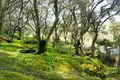 Land 1 room 7 000 m² Agios Dimitrios, Greece