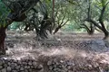 Działki 7 013 m² Grad Komiza, Chorwacja
