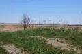Land  Palanga, Lithuania