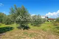 Parcelas 4 054 m² Agios Mamas, Grecia