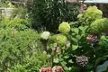 Willa 8 pokojów 350 m² Grad Opatija, Chorwacja
