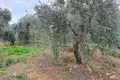 Parcelas  Limenaria, Grecia