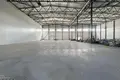 Warehouse 1 432 m² in Fanipalski sielski Saviet, Belarus