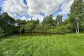 Дом 278 м² Фанипольский сельский Совет, Беларусь