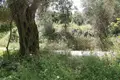 Działki 1 pokój  Ano Korakiana, Grecja