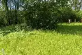 Земельные участки  Олехновичский сельский Совет, Беларусь