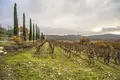 Investition 1 950 m² Antella, Italien