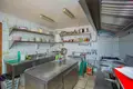 Коммерческое помещение 48 м² Торревьеха, Испания