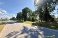 Wohnung 2 zimmer 37 m² Carnicki, Belarus