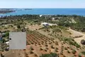 3 bedroom villa 420 m² Grad Porec, Croatia