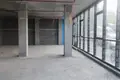 Propiedad comercial 260 m² en Tiflis, Georgia