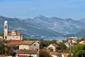 Wohnung 1 Schlafzimmer 45 m² Radovici, Montenegro