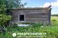 House  Rudzienski sielski Saviet, Belarus