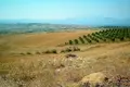 Земельные участки 1 комната  Aristotle Municipality, Греция
