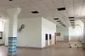 Commercial property 4 000 m² in Deliatyn, Ukraine