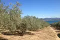 Land 1 room 3 850 m² Municipality of Athens, Greece