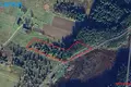 Land  Raudondvaris, Lithuania
