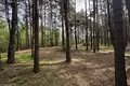 Grundstück 6 536 m² Gizalki, Polen