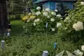 House 81 m² Palacany, Belarus