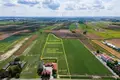 Land 1 room 12 992 m² Pogroszew, Poland