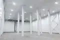 Warehouse 4 200 m² in Shchyolkovo, Russia