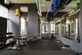 Apartment 270 m² Masovian Voivodeship, Poland
