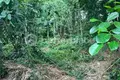 Działki  Tumbak Bayuh, Indonezja