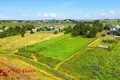 Parcelas  Ozyaritska Slabadski rural council, Belarús