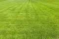 Grundstück  Puchavicki sielski Saviet, Belarus
