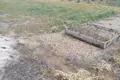 Дом 2 комнаты 65 м² Радошковичский сельский Совет, Беларусь