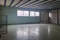 Коммерческое помещение 176 м² в Алитусе, Литва