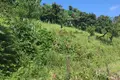 Land 1 250 m² Batumi, Georgia