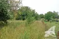Parcelas  Znamienski sielski Saviet, Belarús