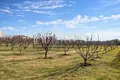 Parcelas 5 400 m² Nea Plagia, Grecia