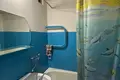 2 room apartment 96 m² in Lyuban, Belarus