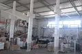 Nieruchomości komercyjne 1 500 m² Dicmo Prisoje, Chorwacja