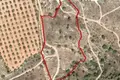 Land  Paphos Municipality, Cyprus